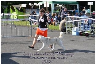 Luna de fiesta sadeckie pieszczochy - CACS