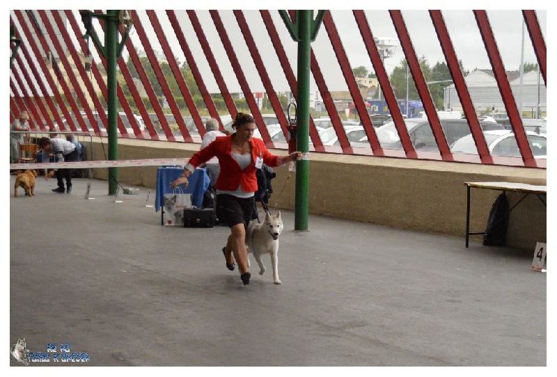 Luna de fiesta sadeckie pieszczochy - CACS