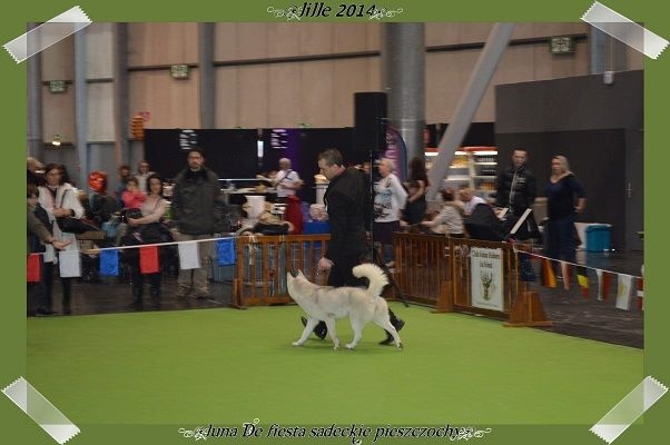 Luna de fiesta sadeckie pieszczochy - 1ère Excellent