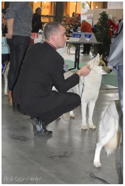 Luna de fiesta sadeckie pieszczochy - 3ème Excellent