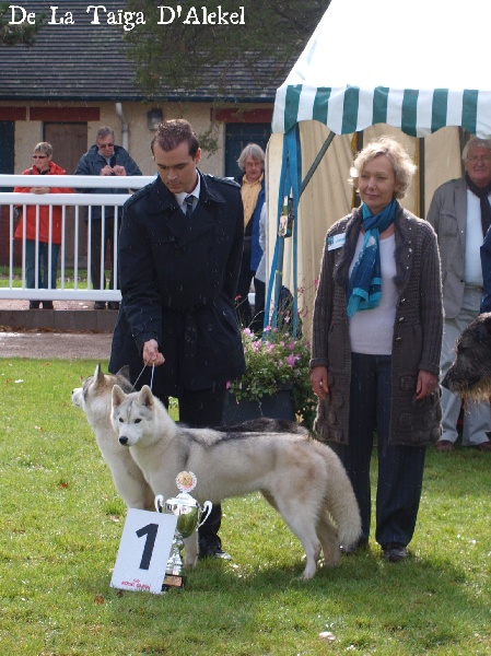 Luna de fiesta sadeckie pieszczochy - Meilleur couple de l'exposition
