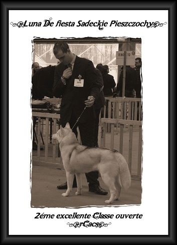 Luna de fiesta sadeckie pieszczochy - RCACS