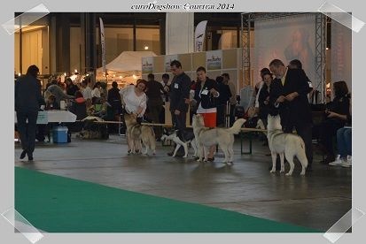 Luna de fiesta sadeckie pieszczochy - 2ème Excellent