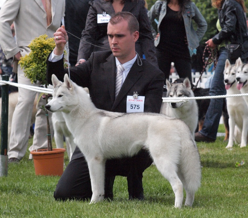 Luna de fiesta sadeckie pieszczochy - Très Prometteur