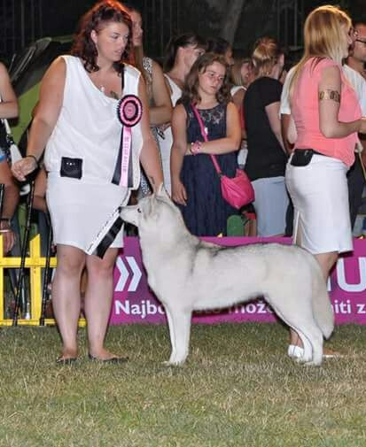 Luna de fiesta sadeckie pieszczochy - CAC, CACIB & Meilleur de Race