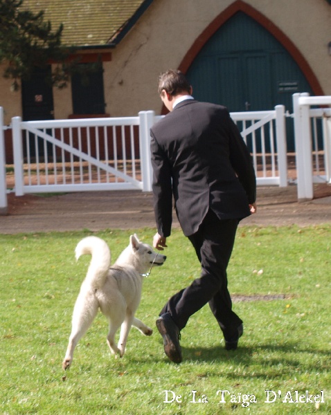 Luna de fiesta sadeckie pieszczochy - 1ere classe jeune