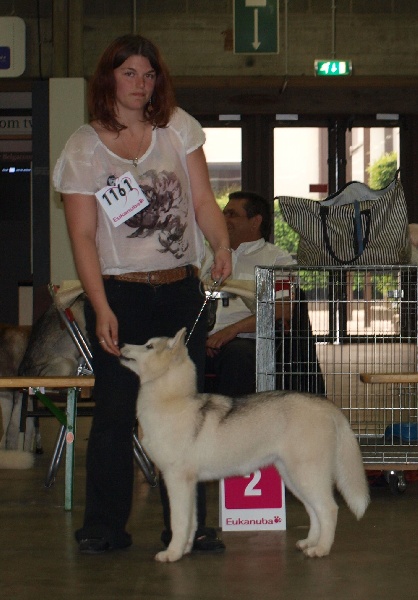 Luna de fiesta sadeckie pieszczochy - Très Prometteur