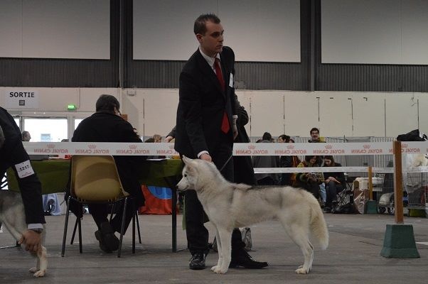 Luna de fiesta sadeckie pieszczochy - 4ème Excellent classe ouverte