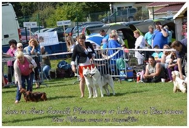 Luna de fiesta sadeckie pieszczochy - 2ème Meilleur Couple de l'expo