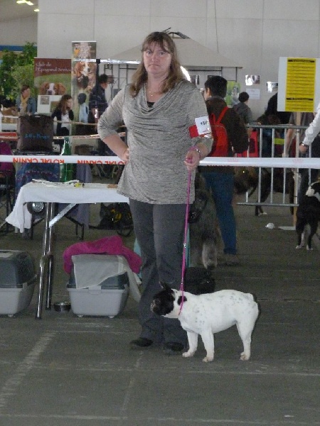 Izzy De L'Enclos Du Val D'Albret - 2ème excellent