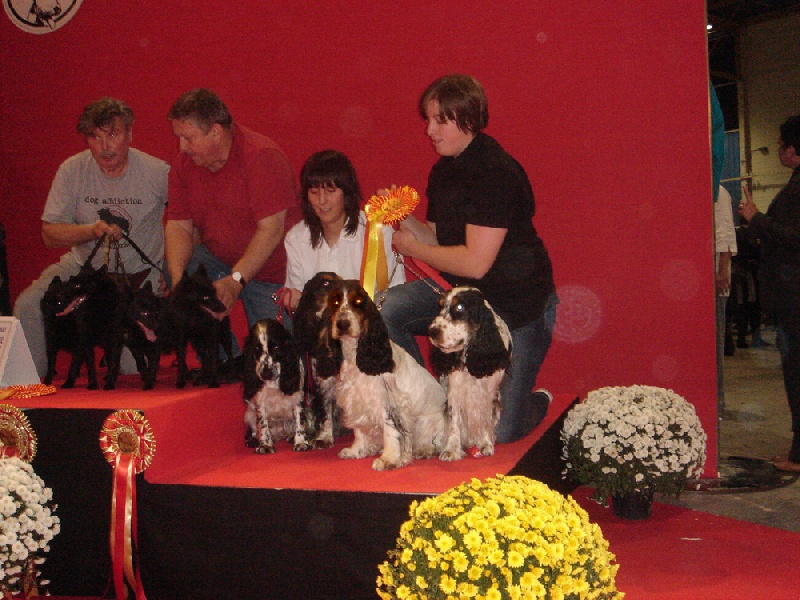 Finger de la Taverniere - 2 eme Meilleur LOT D ELEVAGE