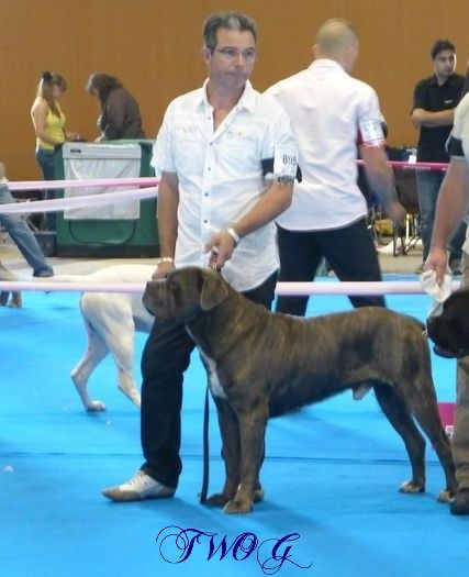 Carco dit arco De La Quinta Des Oliviers - excellent