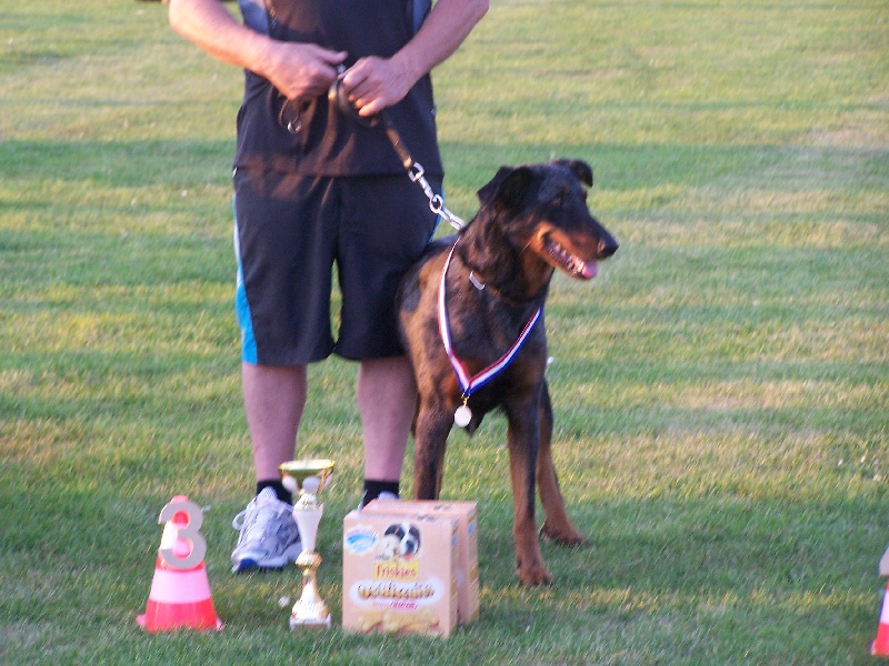 Publication : Des Bergers Du Ruhau Auteur : doume