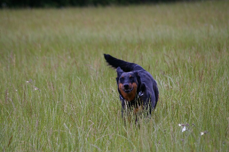 Balka argentée du temple de feu - 5ème