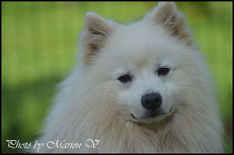 Publication : Du Jardin D'aouregan Auteur : Marion Vrignaud