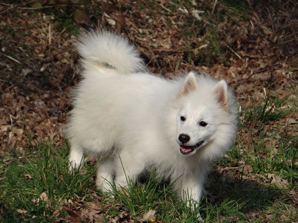 Publication : Du Jardin D'aouregan Auteur : Marion Vrignaud