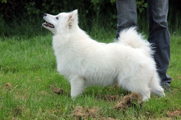 Publication : Du Jardin D'aouregan Auteur : Marion Vrignaud