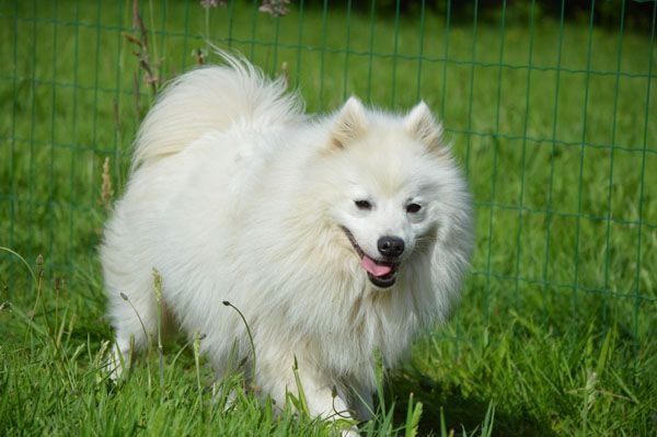 Publication : Du Jardin D'aouregan Auteur : Marion Vrignaud