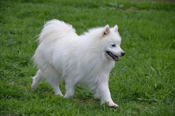 Publication : Du Jardin D'aouregan Auteur : Marion Vrignaud