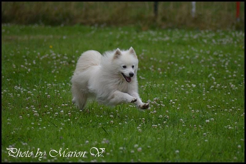 Publication : Du Jardin D'aouregan Auteur : Marion Vrignaud