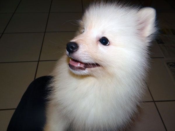 Publication : Du Jardin D'aouregan Auteur : Marion Vrignaud