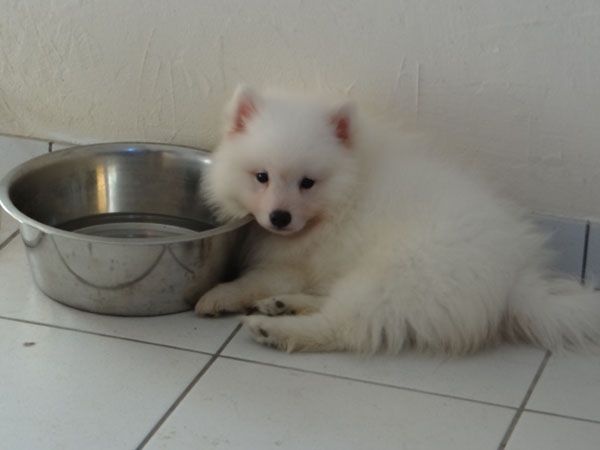 Publication : Du Jardin D'aouregan Auteur : Marion Vrignaud