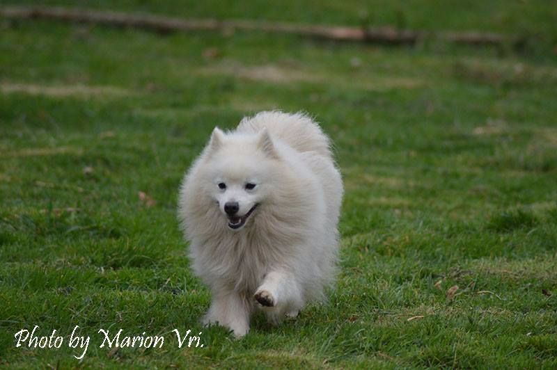 Publication : Du Jardin D'aouregan Auteur : Marion Vrignaud