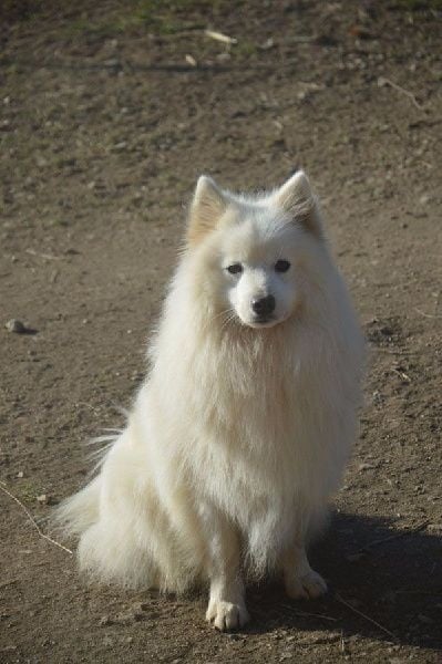 Publication : Du Jardin D'aouregan Auteur : Marion Vrignaud