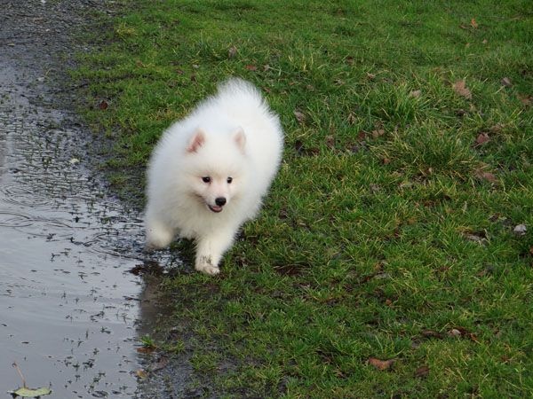 Publication : Du Jardin D'aouregan Auteur : Marion Vrignaud