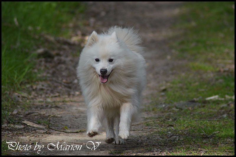 Publication : Du Jardin D'aouregan Auteur : Marion Vrignaud