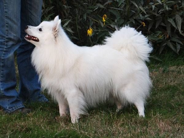 Publication : Du Jardin D'aouregan Auteur : Marion Vrignaud