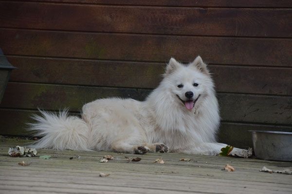 Publication : Du Jardin D'aouregan Auteur : Marion Vrignaud