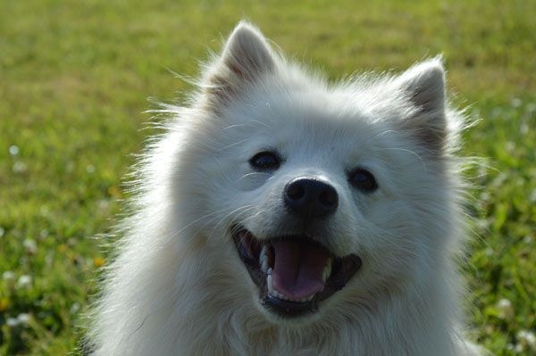 Publication : Du Jardin D'aouregan Auteur : Marion Vrignaud