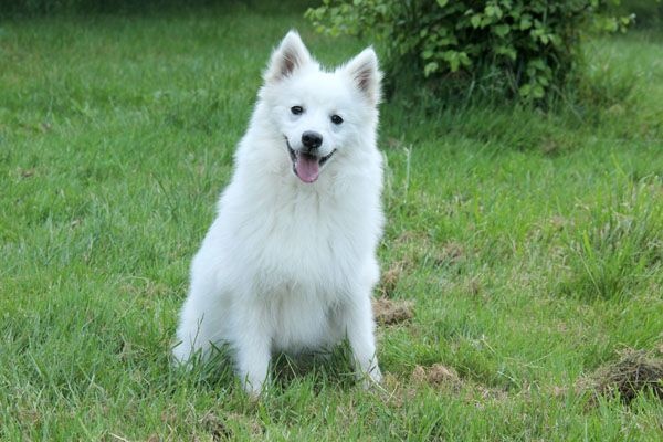 Publication : Du Jardin D'aouregan Auteur : Marion Vrignaud