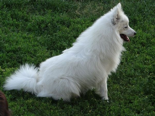 Publication : Du Jardin D'aouregan Auteur : Marion Vrignaud