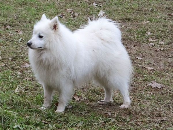 Publication : Du Jardin D'aouregan Auteur : Marion Vrignaud