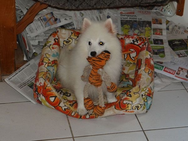 Publication : Du Jardin D'aouregan Auteur : Marion Vrignaud