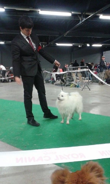 Iruko Of Fantasia Lover Land - 2 ème sur 2 Excellent RCACS