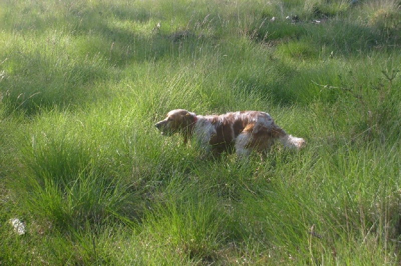 Publication : de Nive Adour