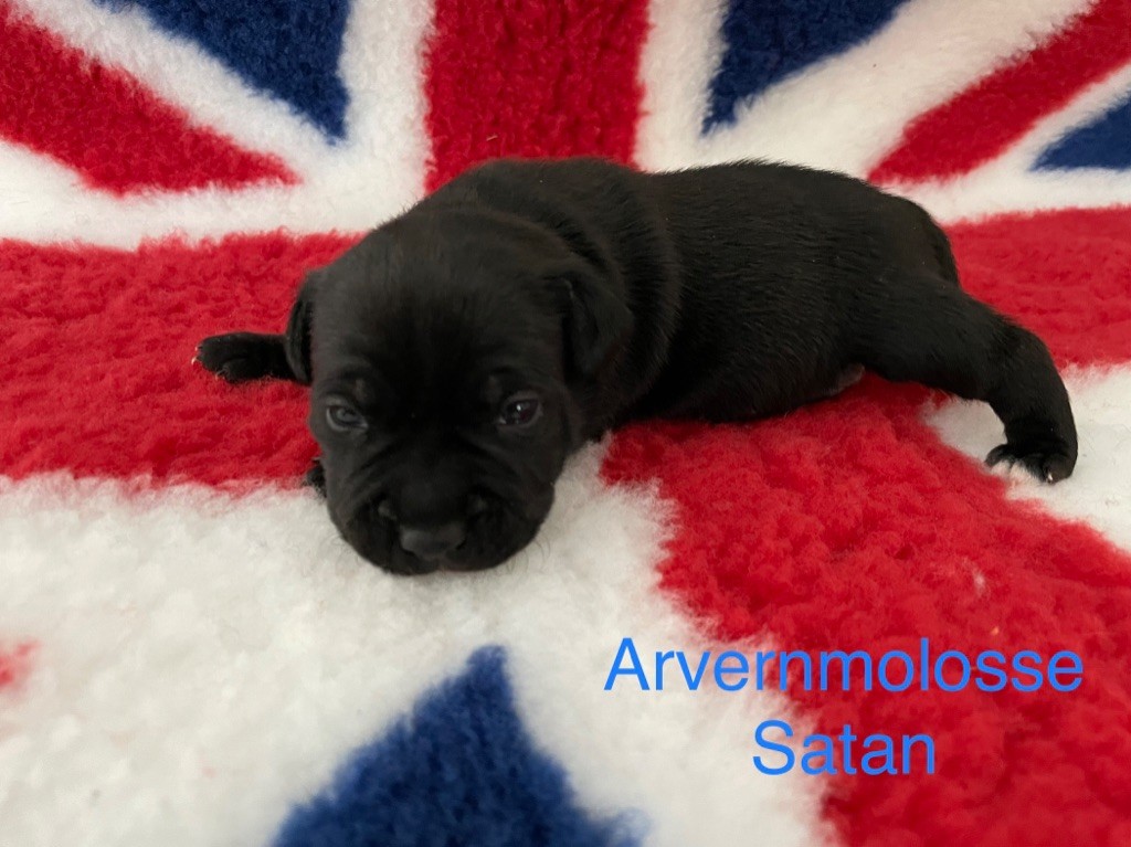 Satan