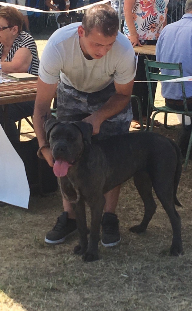 Oup s Du Domaine De Marine - 1ère Très bon