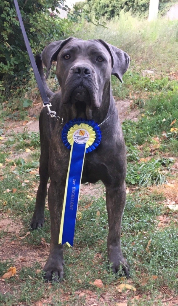 Oup s Du Domaine De Marine - 1ère excellent meilleur jeune