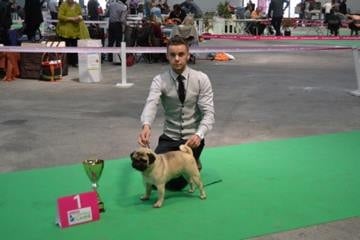 CH. Bobo black jade pakony - Champion de Bulgarie