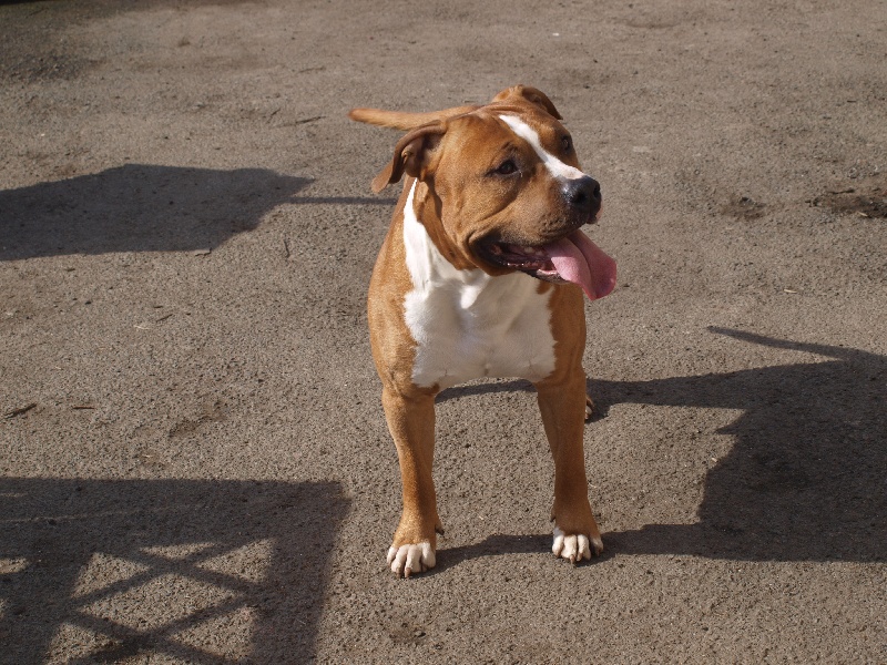 Publication : Old Look Staff