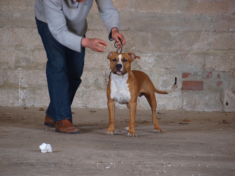 Publication : Old Look Staff