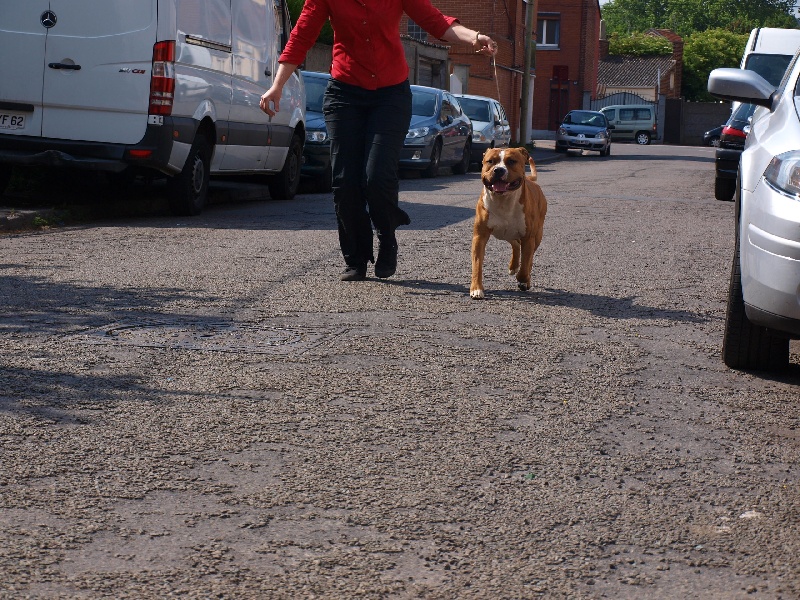 Publication : Old Look Staff