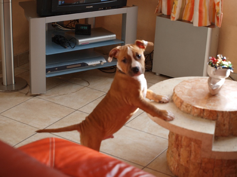 Publication : Old Look Staff