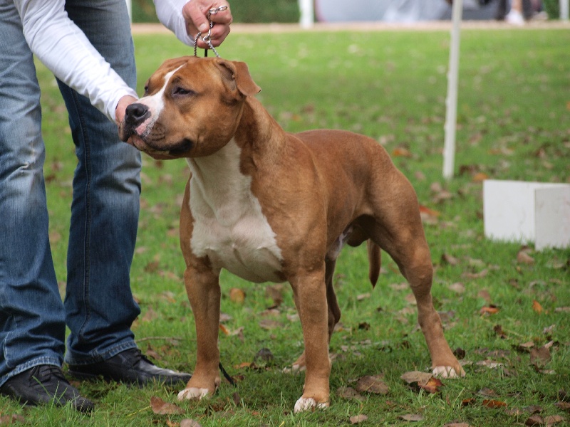 Publication : Old Look Staff