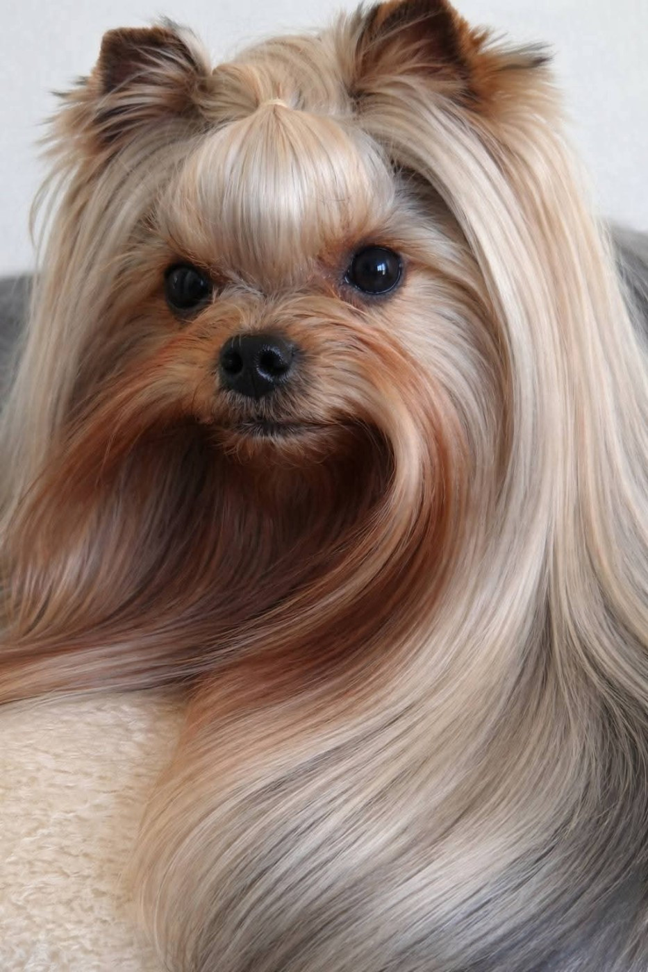 Unica usha forever and ever De L'eden Argente