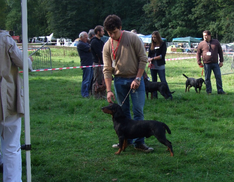 Publication : Du Marais De Licendre